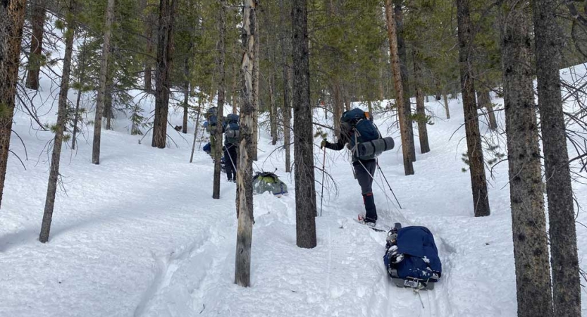 three veterans snowshoe up a snowy, tree-covered slope while pulling small sleds packed with gear
